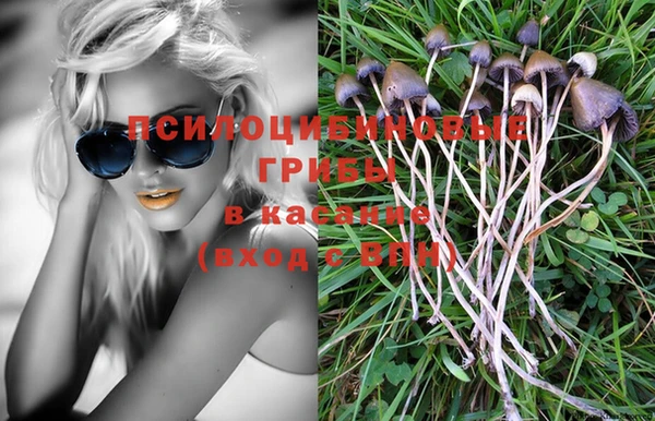 спайс Арсеньев