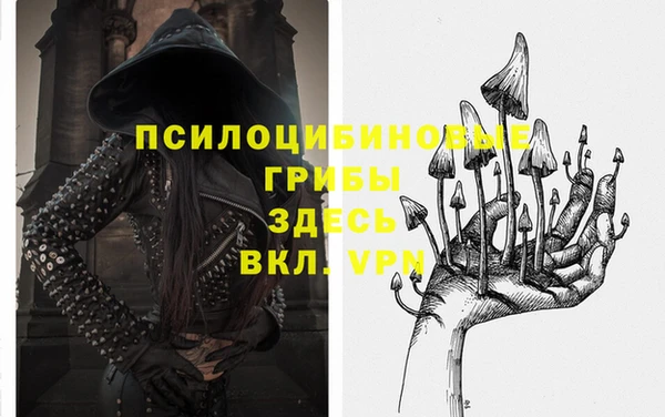 спайс Арсеньев