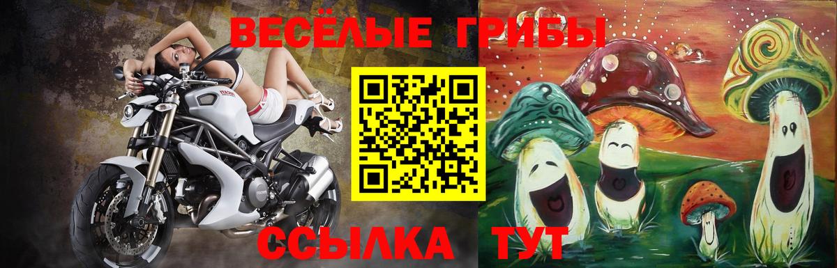 Псилоцибиновые грибы MAGIC MUSHROOMS  Вход с VPN  Чернушка 